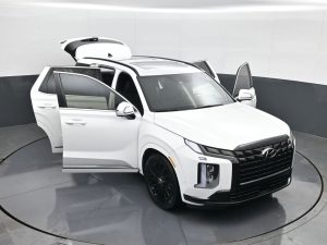 2024 Hyundai Palisade Calligraphy Night Edition — thumbnail 22