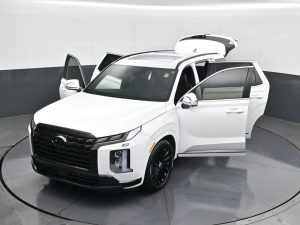 2024 Hyundai Palisade Calligraphy Night Edition — thumbnail 23
