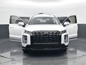 2024 Hyundai Palisade Calligraphy Night Edition — thumbnail 24