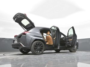 2024 Lexus UX 250h Premium AWD — thumbnail 45