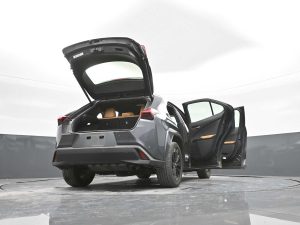 2024 Lexus UX 250h Premium AWD — thumbnail 46