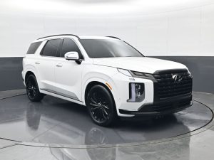 2024 Hyundai Palisade Calligraphy Night Edition — thumbnail 2
