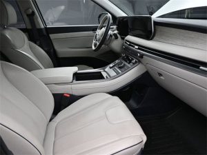 2023 Hyundai Palisade Calligraphy — thumbnail 11