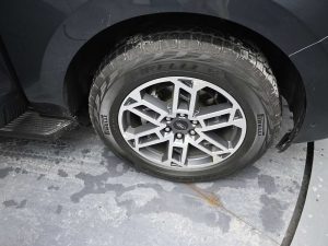 2025 Ford Expedition Max Active — thumbnail 9