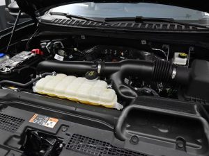 2025 Ford Expedition Max Active — thumbnail 10