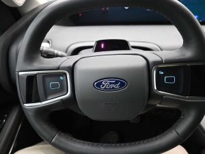 2025 Ford Expedition Max Active — thumbnail 20