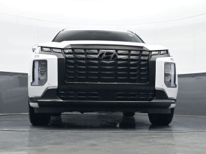 2024 Hyundai Palisade Calligraphy Night Edition — thumbnail 16