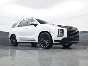 2024 Hyundai Palisade Calligraphy Night Edition — thumbnail 17