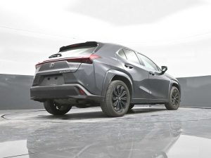 2024 Lexus UX 250h Premium AWD — thumbnail 38