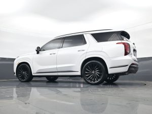 2024 Hyundai Palisade Calligraphy Night Edition — thumbnail 20