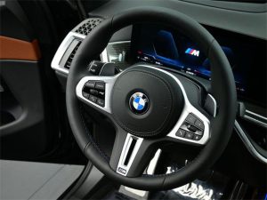 2024 BMW X7 M60i — thumbnail 13